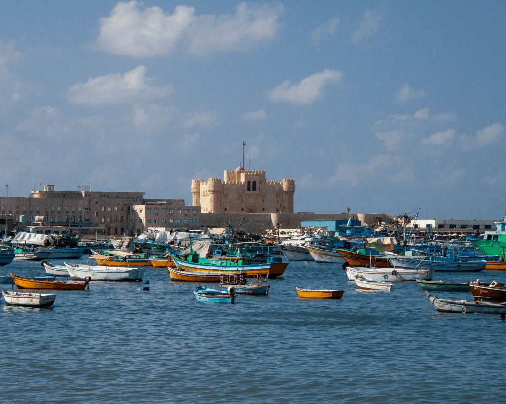 Day Tour To Alexandria From Cairo photo 5
