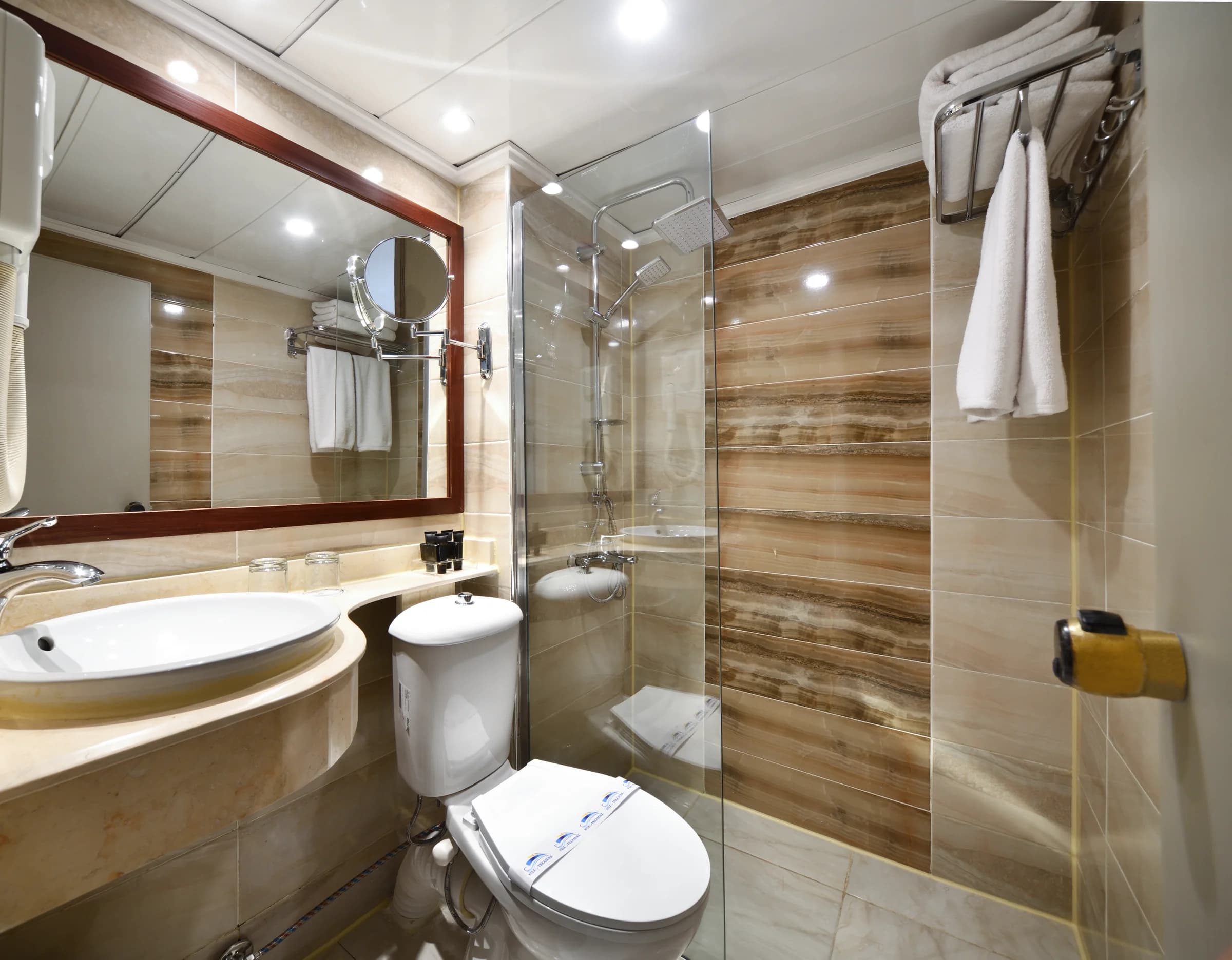 Cabin bathroom on the M/S Nile Treasure